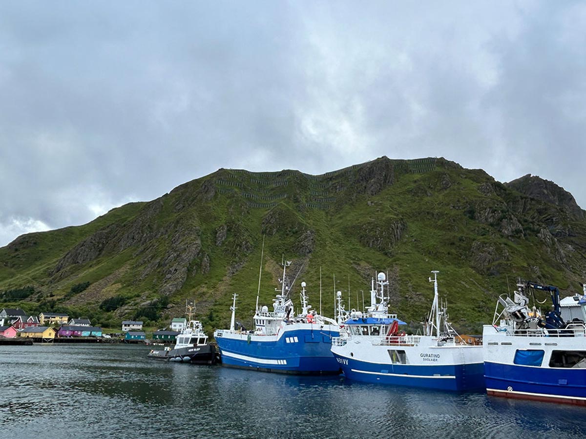 Fishing boats moored at the harbor in Ballstad with green mountain backdrop in the Lofoten Islands.